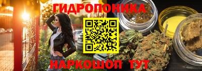 2c-b Заводоуковск