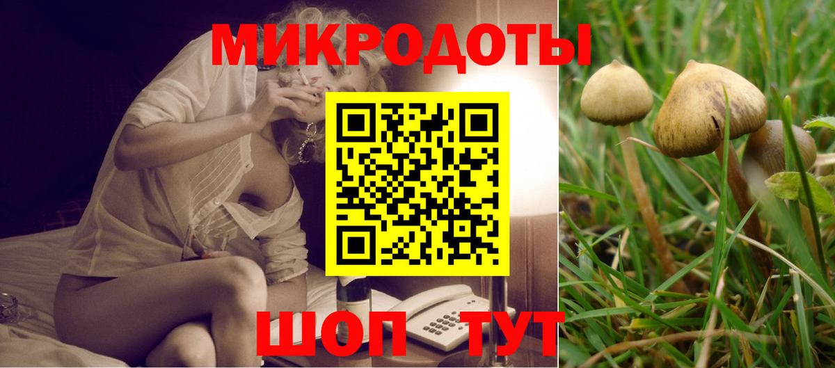 Псилоцибиновые грибы мухоморы Шелехов