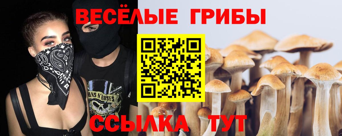 Шелехов  Псилоцибиновые грибы Cubensis  Вход с VPN 